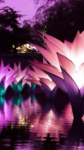 Lightscape debuts in San Francisco Botanical Garden on November 21, transforming the Garden into a glowing wonderland of art, light, and nature. ✨ Be among the first to experience the magic of the season. Tickets on sale now. | San Francisco Magazine