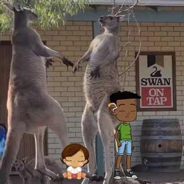 POV: quand le prof,Offradi,Victor et jeanelle font une sortie en Australie