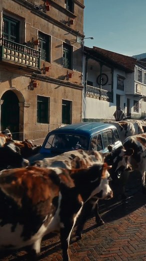 Viajar por #Colombia no es solo cambiar de paisaje, es reconocernos en cada sonrisa y en cada cultura. 🇨🇴✨ Déjate sorprender por el País de la Belleza y descubre que la felicidad que necesitabas, ¡siempre estuvo aquí!❤️‍🔥 @KAREN SEVILLANO @Gemelos Viajeros 🌍✈️ @El de los planes ✈️ @Sebastian Moreno 📸 @Juanda Turismo @Los de ÑAM! @Camilo Duque @El Espectador @Tulio Recomienda