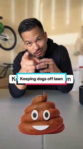 Effective Tips for Keeping Dogs Off Your Lawn