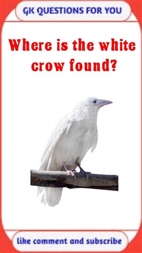 Top 20 GK Question 🔥💯| GK Question ✍️| GK Question and Answer #gkin English #shorts​#gk​‎