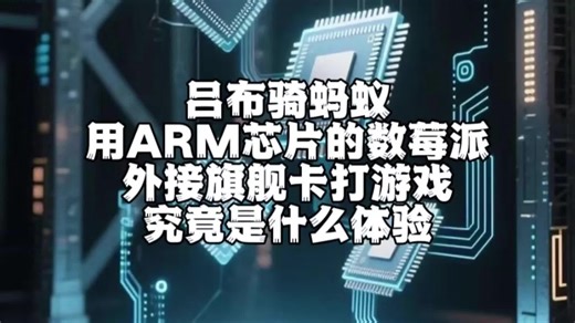 用ARM芯片的树莓派外接旗舰卡打游戏