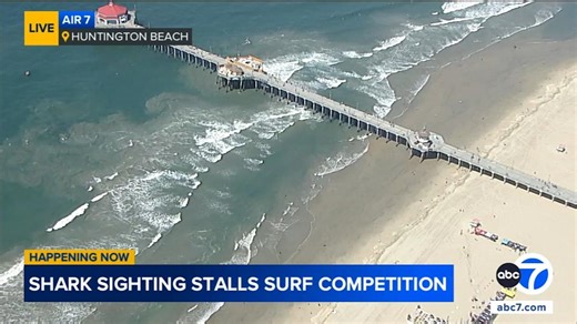 Shark sighting in Huntington Beach puts surfing competition on hold, organizers say