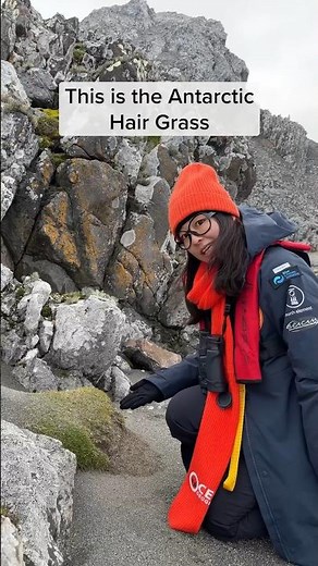 Antarctica has grass?! #antarctica #climate