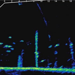 The best of the best---LiveScope Plus System The LiveScope Plus System has improved screen clarity, transducer sensitivity and target separation to see images clearly. Get more accurate information to help you improve your fishing efficiency and make fishing easier! Learn more about LiveScope Plus System: https://bit.ly/3LC4Pv0 | Garmin Marine Asia