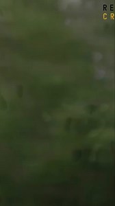 A killer on the run crossed state lines, triggering a federal warrant. Could federal resources be the key to stopping him before he strikes again? The urgency is palpable, as the hunt intensifies. #TrueCrime #Justice #TrueCrime #Justice #FBI #CriminalInvestigation #LawEnforcement #CrimeStories | Real Crime