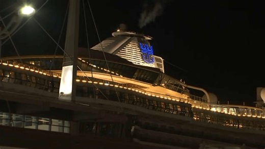 Royal Caribbean cruise docks in Miami after norovirus outbreak affects nearly 100 people