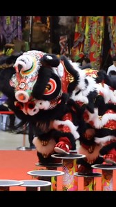 Fierce lion ⚫️⚪️🔴 #liondance #liondancemalaysia #liondanceperformance #CNY2026 #chinesenewyear #舞狮 | 狮艺 . Art of Lion Dance