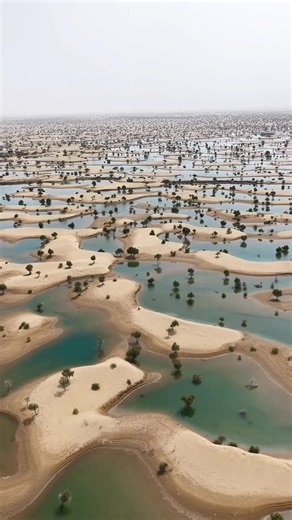 Taklamakan Desert, China 🇨🇳 Emerald Lake is a stunning natural oasis hidden among the golden sands of the Taklamakan Desert in Xinjiang, China. Its crystal-clear turquoise water creates a magical contrast with the surrounding desert, making it one of nature's most beautiful hidden treasures.