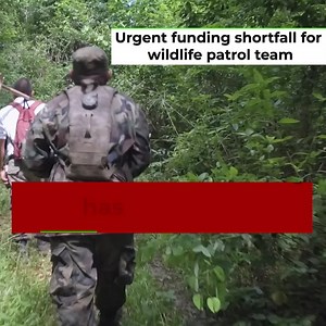 1.1K views · 198 reactions | Snaring crisis looms as wardens face...