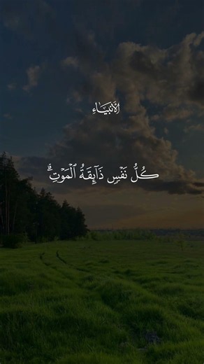 ﴿ كُلُّ نَفْسٍ ذَائِقَةُ الْمَوْتِ ۗ وَنَبْلُوكُمْ بِالشَّرِّ وَالْخَيْرِ فِتْنَةً ۖ #القرآن_الكريم