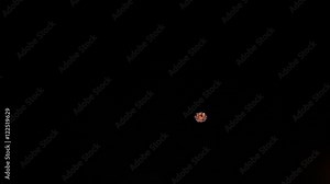 great balls of different colors of fireworks