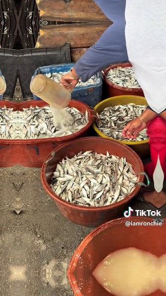 How to Make Dried Fish: A Step-by-Step Guide