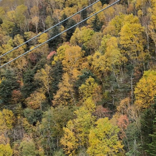 Fumiko Watanabe on Reels
