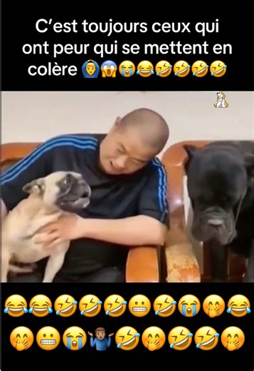 C’est toujours ceux qui ont peur qui se mettent en colère 🤣 🤭😂🤣 #capcut_edit #viral_videos #capcutmaster