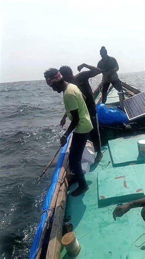 ### Chintapalli fishing bot lo videos ### 😱😱😱😱😱😱😱####