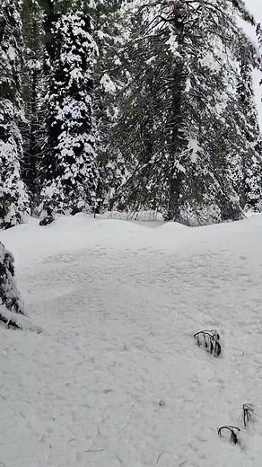 3.4K views · 117 reactions | Tourist Trekking Spot Ladu Ladoora Rafiabad Baramulla Call: Raja Sajad:7006059366 Authorised tour trekking organiser/guide, | Rafiabad News service | Facebook