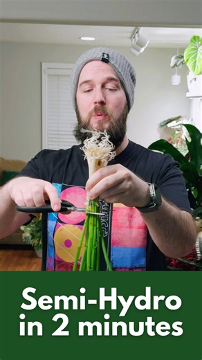 6.4K views · 272 reactions | Learn Semi-Hydroponics in 2 minutes for...