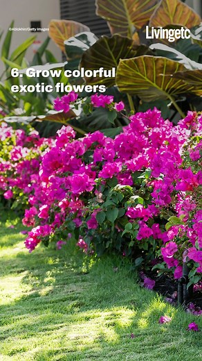 2.1K views | We love these 7 design tricks to make your deck feel like a tropical paradise! | Livingetc | Facebook