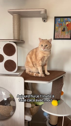 60K views · 2.2K reactions |  JEU CONCOURS TIME, LES HUMAINS ! ...