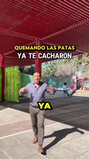Consejos Legales para Evitar Problemas con Coppel