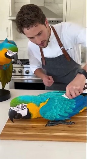 Animal cake cutting | 005 #parrot #cake