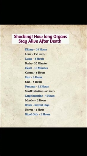 Shocking Truth: How Long Organs Stay Alive After Death? 😱 | Full Breakdown #healthylifestyle #shorts