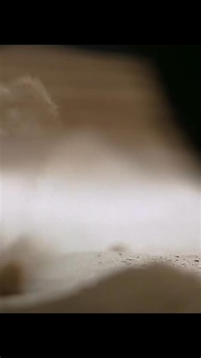 235K views · 368 reactions | A Harrowing Ritual 﫨  Movie : Dune : Part Two  Link Comment Option  | ᴍᴏᴠɪᴇ ʜᴜʙ | Facebook