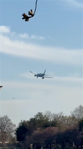 JetBlue A320-200 River Visual Landing In DCA! #viral