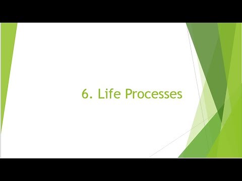 NCERT Class 10 SCIENCE: Ch.6 Life Processes(Downloadable PPT)