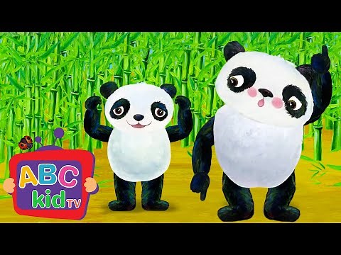 Head Shoulders Knees and Toes | Animal Stories for Toddlers - ABC Kid TV | Nursery Rhymes & Songs