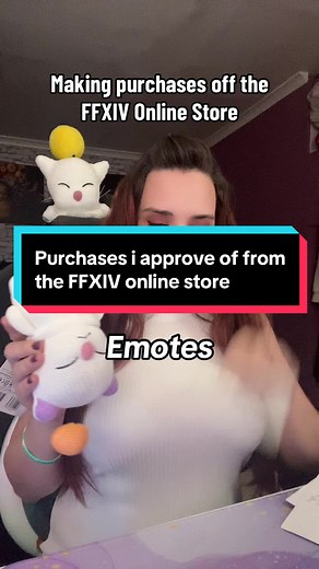 Purchasing in FFXIV Online Store: What to Buy?