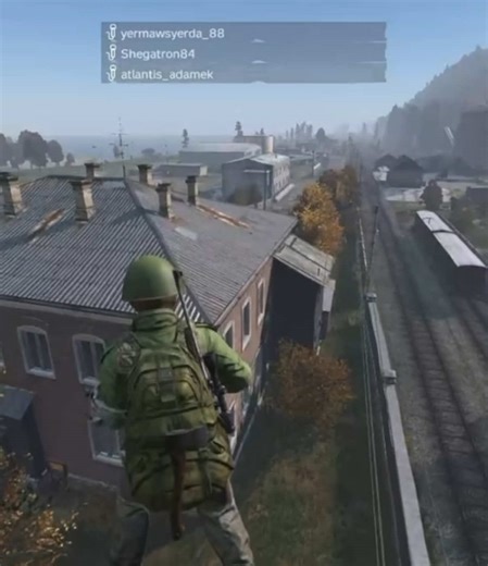 Swooping Down in DayZ: A Hilarious Gameplay Moment