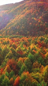 Fall From the Sky: Drone Views of Autumn.