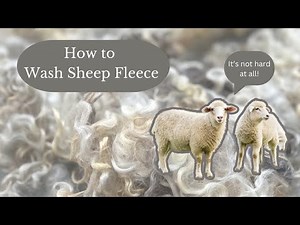 How to Wash Sheep Fleece | Tutorial On How to Wash Wool In Small Batches At Home | Knitting Podcast