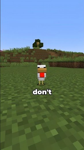 This chicken can summon cyborg chickens #minecraft