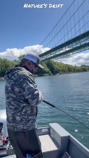 Lingcod @ Tacoma Narrows MA11 Vertical Jigging x Crippled Herring The Puget Sound Bottom Fishing$$