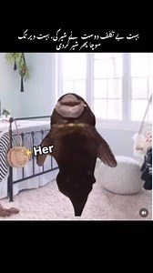 16K views · 49 reactions | A very dear friend sent it. I’ve been laughing ever since. Sharing as I had a laugh and I want everyone to laugh | Urdu | Facebook