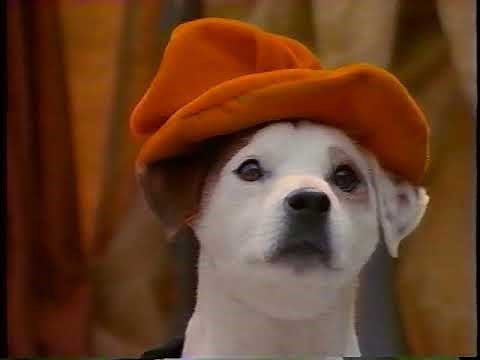 Opening to Wishbone: Salty Dog 1996 VHS [True HQ]