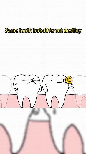 Funny Cartoon Dental Animation for Kids