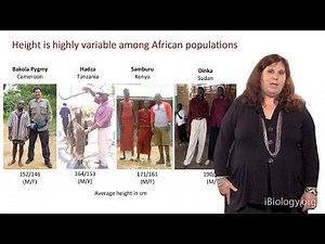 African Genomics: Human Evolution