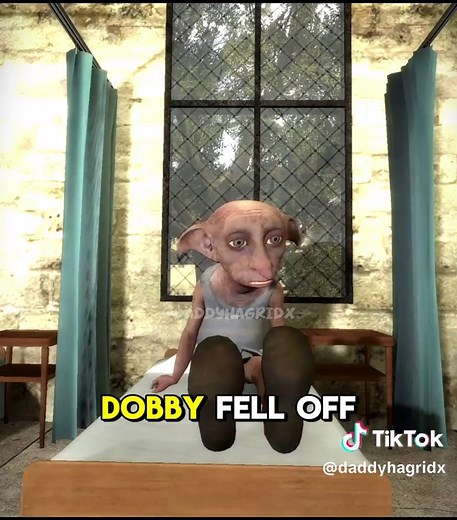 Dobby Has A Broom😱 #harrypottermemes #dobby #kneesurgery #harrypotter #daddyhagrid