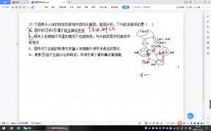 排尿反射，很复杂