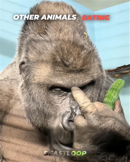 Other Animals Eating VS Dogs 💀#edit#animals#doglove#cat#food #asmr#skulledit