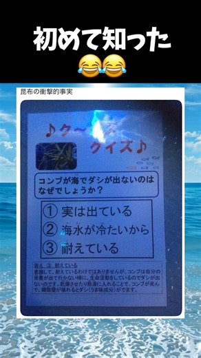 昆布の事実 #shorts #面白い #おもしろ #雑学 #豆知識