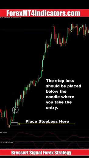 Bressert Signal Forex Strategy