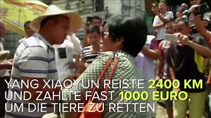 Wie diese Frau Hunde vor dem Schlachter rettet