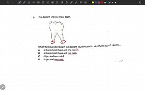 Biology Paper 1 Exam Revision | Advance Online Learning