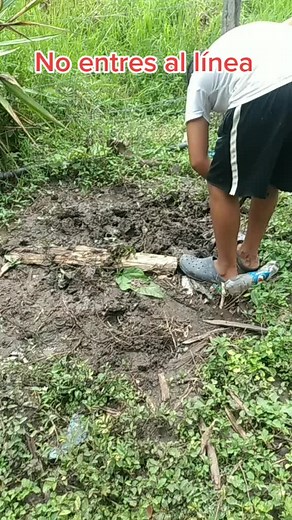 Earthworm Collecting Techniques in Outdoor Environments