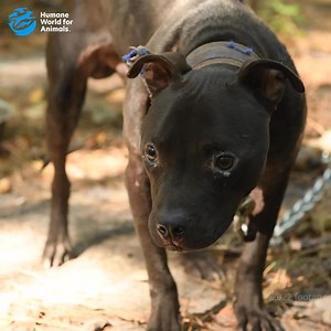 8K reactions · 772 comments | Horrific injuries. Heavy chains. Filthy...